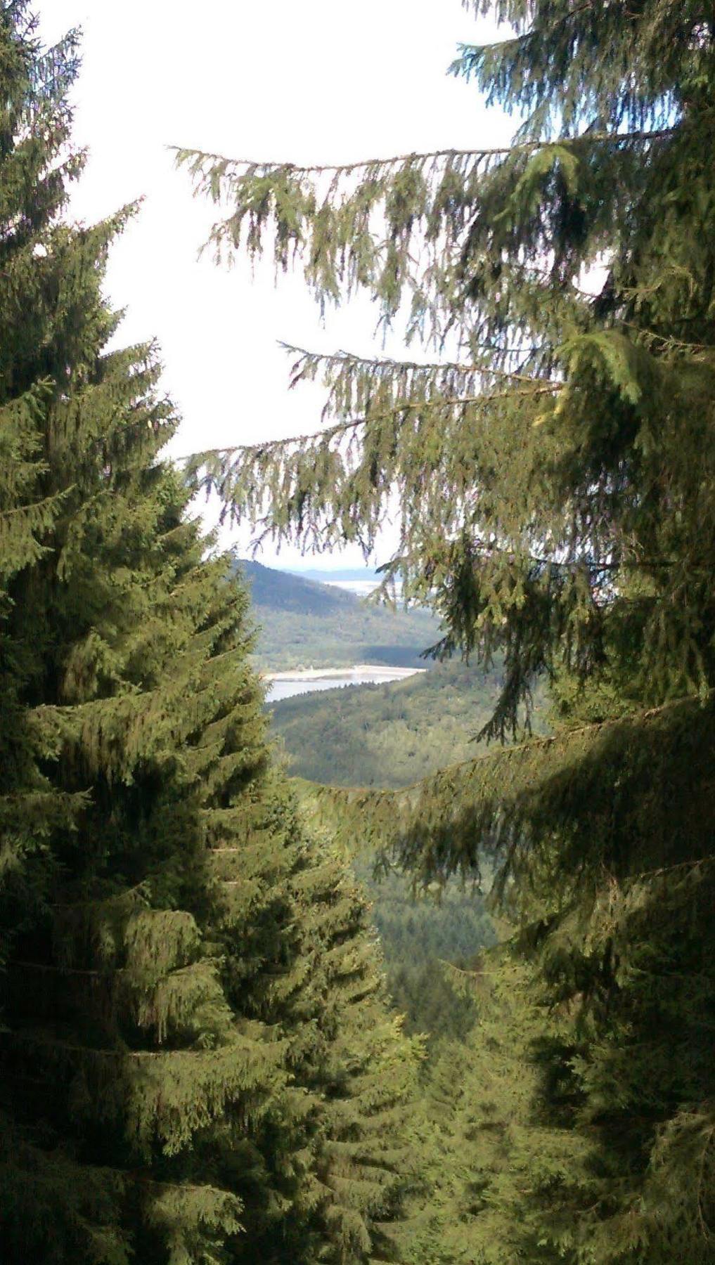 Hotel Berghof Am See Lautenthal ภายนอก รูปภาพ